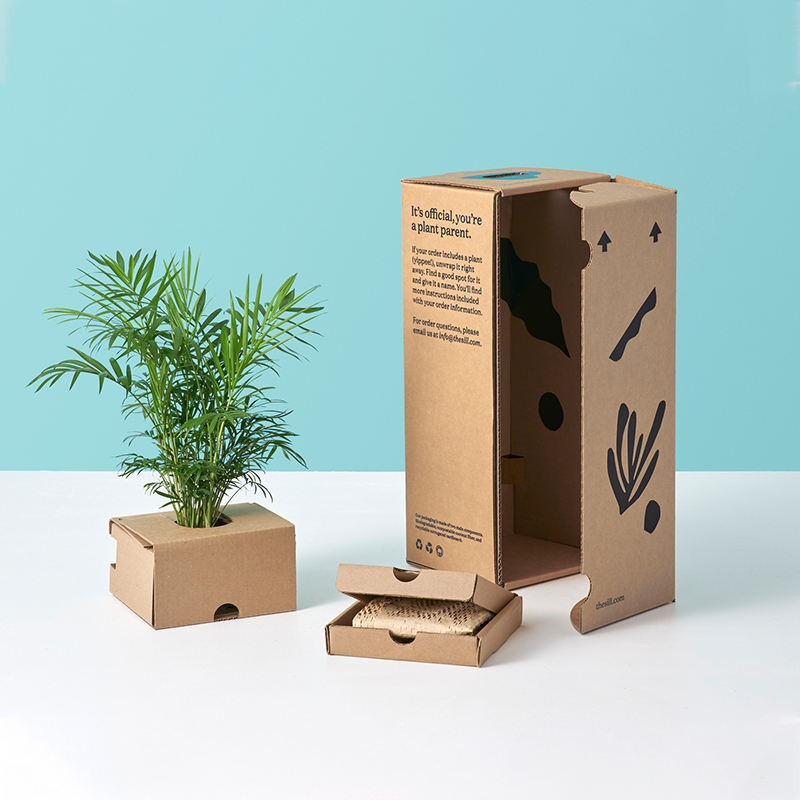 corrugated paper box for plant Gulupack (4)